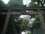 CIMG1274.JPG