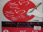CIMG2809.JPG
